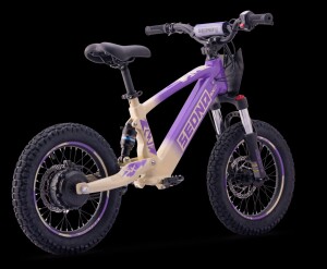 Elektrisches Laufrad Sedna SX 16" Lila