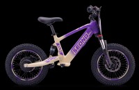 Elektrisches Laufrad Sedna SX 16" Lila