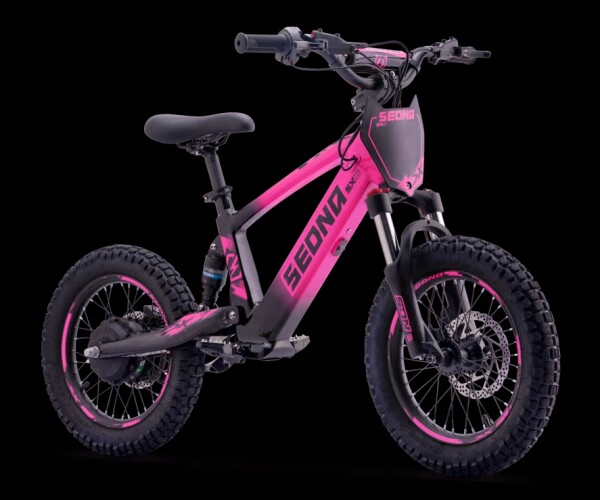 Elektrisches Laufrad Sedna SX 16" Pink