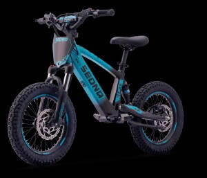 Elektrisches Laufrad Sedna SX 16" Blau