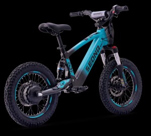 Elektrisches Laufrad Sedna SX 16" Blau