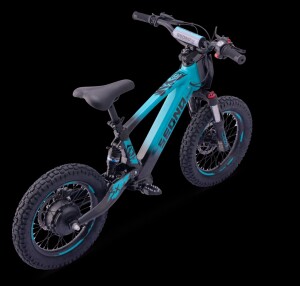 Elektrisches Laufrad Sedna SX 16" Blau