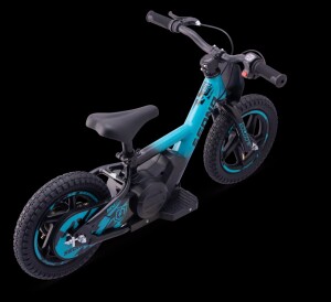 Elektrisches Laufrad Sedna MX 12" Blau
