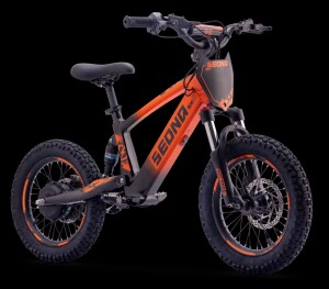 Elektrisches Laufrad Sedna SX 16" Orange