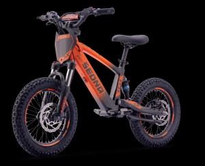 Elektrisches Laufrad Sedna SX 16" Orange