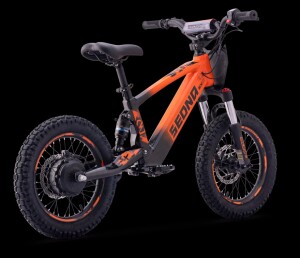 Elektrisches Laufrad Sedna SX 16" Orange