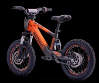 Elektrisches Laufrad Sedna SX 16" Orange