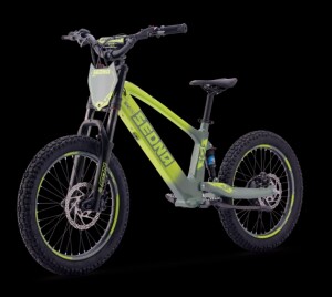 Elektrisches Laufrad Sedna SX 20" grün