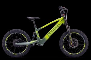 Elektrisches Laufrad Sedna SX 20" grün
