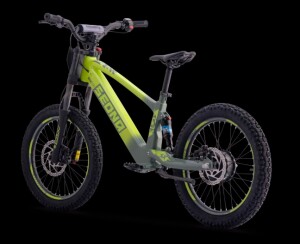 Elektrisches Laufrad Sedna SX 20" grün