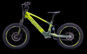 Elektrisches Laufrad Sedna SX 20" grün