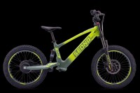 Elektrisches Laufrad Sedna SX 20" grün