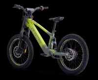 Elektrisches Laufrad Sedna SX 20" grün
