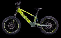Elektrisches Laufrad Sedna SX 20" grün