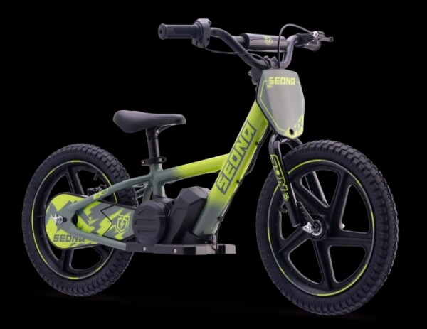 Elektrisches Laufrad Sedna MX 16" Grün