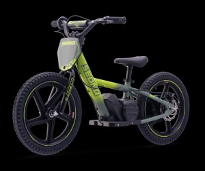 Elektrisches Laufrad Sedna MX 16" Grün
