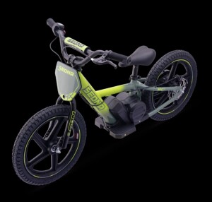 Elektrisches Laufrad Sedna MX 16" Grün