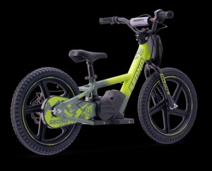 Elektrisches Laufrad Sedna MX 16" Grün