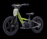Elektrisches Laufrad Sedna MX 16" Grün