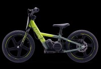 Elektrisches Laufrad Sedna MX 16" Grün