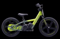 Elektrisches Laufrad Sedna MX 16" Grün