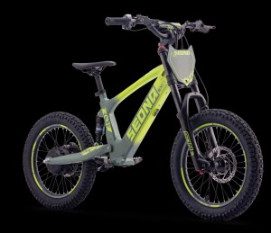 Elektrisches Laufrad Sedna SX 16" Grün
