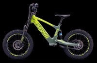 Elektrisches Laufrad Sedna SX 16" Grün