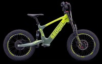 Elektrisches Laufrad Sedna SX 16" Grün