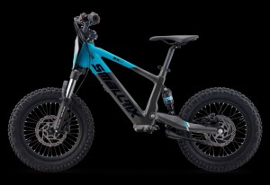 Elektrisches Laufrad SMX EVO S 16" Blau