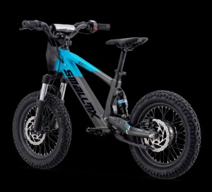Elektrisches Laufrad SMX EVO S 16" Blau