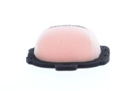 TWIN AIR Luftfilter CRF250/450 21-24